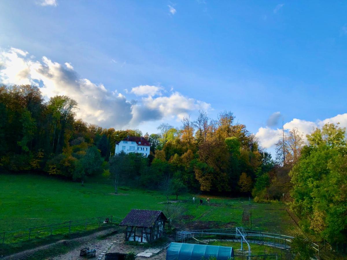 Ferienwohnung Im Gruenen Auf Idyllisch Gelegenen Gutshof Und Doch So Zentral Waldshut-Tiengen Buitenkant foto